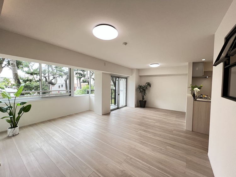 湘南平塚452「cococolor」